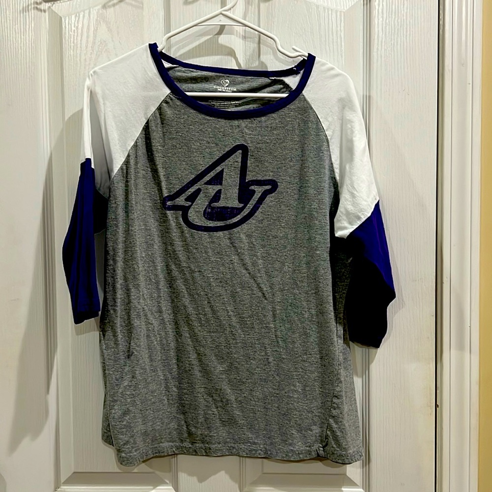 Asbury University Eagles Colorblock Tee